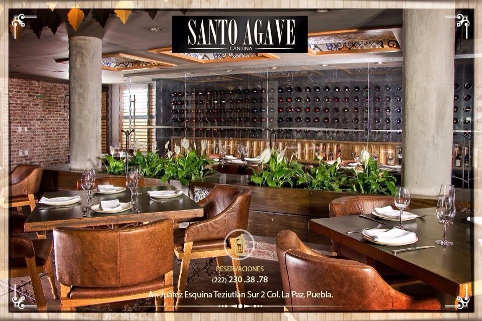 Santo Agave