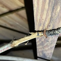 2theCore Home Inspections