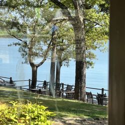 Janssen's Lakefront Restaurant - Lakefront view