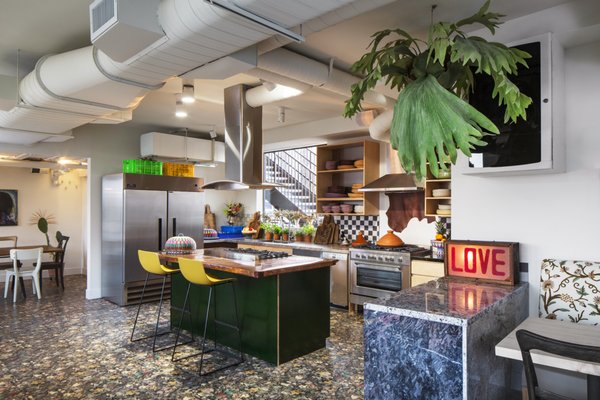 Treehouse Hollywood by null