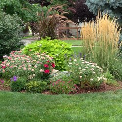 Creation Landscape Design