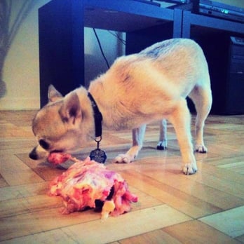 Canine Living Raw - Pet Services Near Me Canine Living Raw - Pet Services Near Me