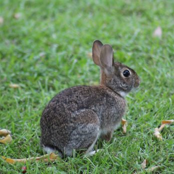 Punta Gorda Nature Park - Parks Near Me - Punta Gorda, Florida