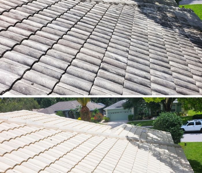 Slide of Tampa Bay Roof Cleaning