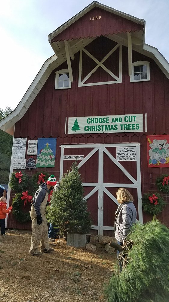 KELLY CHRISTMAS TREE FARM Updated May 2024 1045 Stone Mill Rd