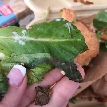 Healthy Creations Cafe - Gluten-Free Near Me - Encinitas, California