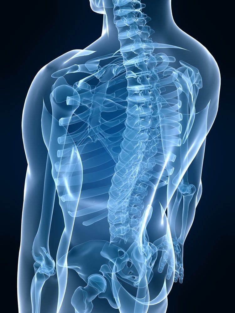 QUEENSGATE FAMILY CHIROPRACTIC Updated September 2024 2568