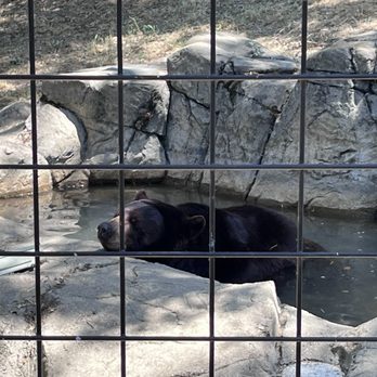 THE FOLSOM CITY ZOO SANCTUARY - Updated February 2026 - 636 Photos