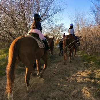 Zia Ranch - Horseback Riding Near Me - Brentwood, California