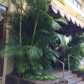 Nurturing Body Works Massage - Enter the building from the stairway at the back. Once inside the door, go up a flight of stairs which leads to a hallway of offices. - Massage Therapy Near Me - Honolulu, Hawaii Nurturing Body Works Massage - Enter the building from the stairway at the back. Once inside the door, go up a flight of stairs which leads to a hallway of offices. - Massage Therapy Near Me - Honolulu, Hawaii