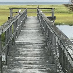 Albert J. Allen Memorial Park - Can't walk on it but there's a beautiful view here.