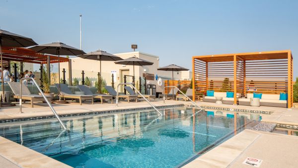 St Paul Collection by null