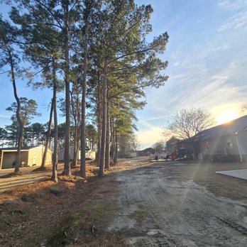 Triangle Tree Services - Tree Services Near Me - Four Oaks, North Carolina Triangle Tree Services - Tree Services Near Me - Four Oaks, North Carolina