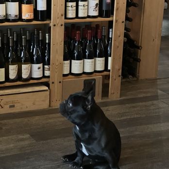 Uptown Wine & Beer - Vino the mascot - Wine Bars Near Me - Snohomish, Washington