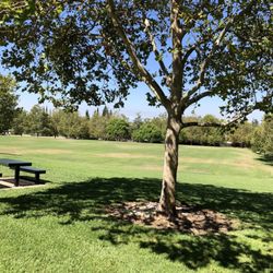 Ed Mitchell Park