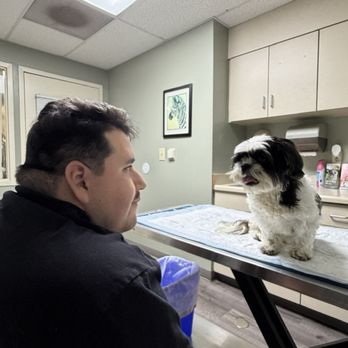 All Creatures Veterinary Emergency Clinic - Veterinarians Near Me - Stockton, California All Creatures Veterinary Emergency Clinic - Veterinarians Near Me - Stockton, California