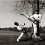 Photo of Chung's Tae Kwon Do Academy