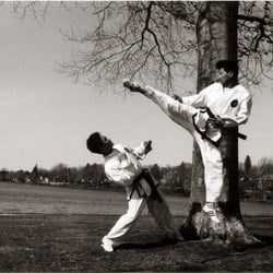 Chung's Tae Kwon Do Academy - master chung juming roundhouse kick
