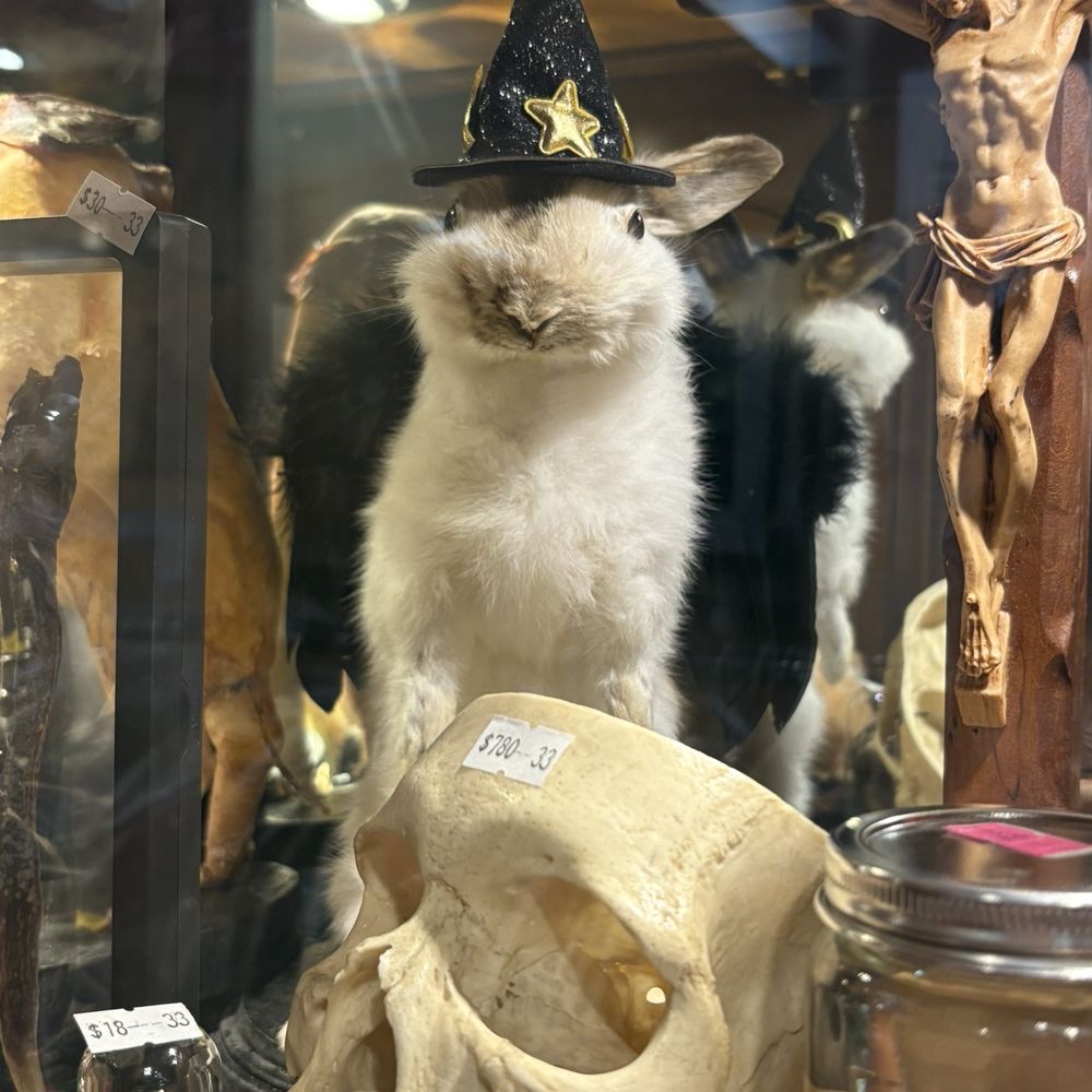 Pasadena Antique Mall - Antiques Near Me - Pasadena, California