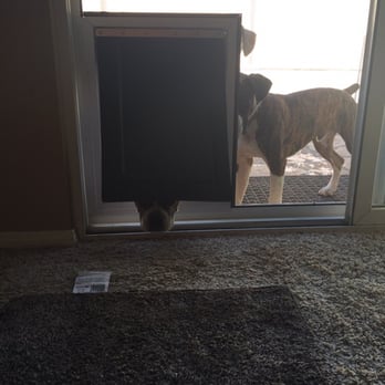 ScreenMan Joe - Our dogs are leaning how to use the new door! - Windows Installation Near Me - Wildomar, California ScreenMan Joe - Our dogs are leaning how to use the new door! - Windows Installation Near Me - Wildomar, California