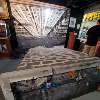 Freakybuttrue Peculiarium - Art/exhibits - Museums Near Me - Portland, Oregon