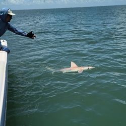 Reel Men Fishing Charters