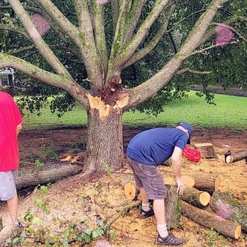 Brian's Tree and Handyman Services - Handyman Near Me Brian's Tree and Handyman Services - Handyman Near Me