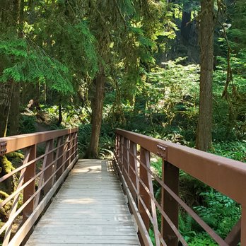 Marymere Falls - Second larger bridge - Hiking Near Me - Port Angeles, Washington Marymere Falls - Second larger bridge - Hiking Near Me - Port Angeles, Washington