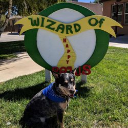 Wizard of Happy Paws - Pound puppy/never been bathed. Jennifer was patient. He was happy to go back!! Huck loves his forever friend Jennifer!