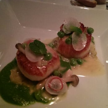 Gary Danko - Seared scallops. - New American Near Me - San Francisco, California Gary Danko - Seared scallops. - New American Near Me - San Francisco, California