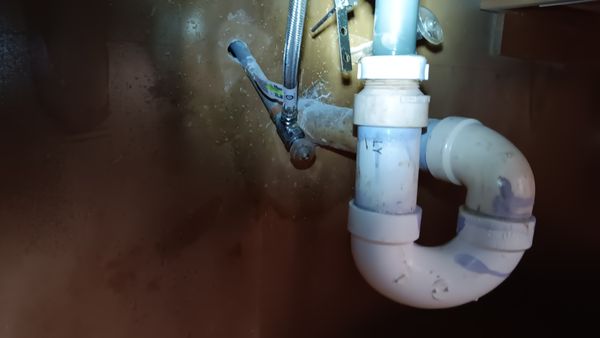 Black Sheep Plumbing Logo