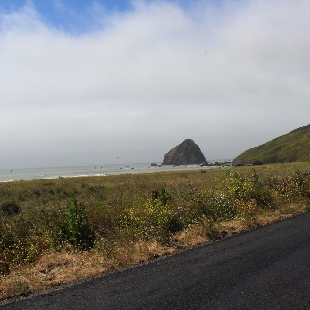 Mattole Road - The Lost Coast. - Local Flavor Near Me - Ferndale, California Mattole Road - The Lost Coast. - Local Flavor Near Me - Ferndale, California