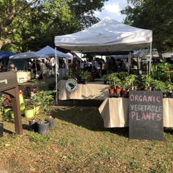 Sullivan's Island Farmer's Market