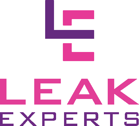 Slide of Leak Experts
