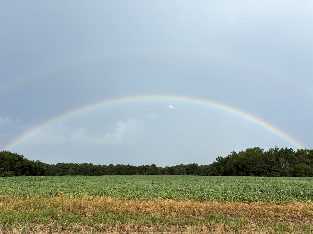 Titi’s Munchkins Childcare - childcare center in Toney, AL