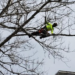 ABC Tree Monkeys