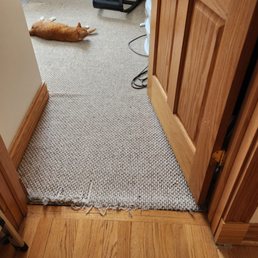 Small bdrm before - A ginger cat is lying on a textured carpeted floor in a room with wooden trim and cabinetry, near a doorway.