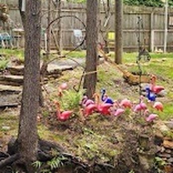 Woodfin Tavern - Pretty spot! - Wine Bars Near Me - Asheville, North Carolina Woodfin Tavern - Pretty spot! - Wine Bars Near Me - Asheville, North Carolina