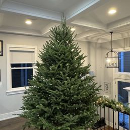 Love our tree!!!