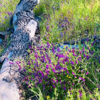 Sonoma Valley Regional Park - Parks Near Me - Glen Ellen, California Sonoma Valley Regional Park - Parks Near Me - Glen Ellen, California
