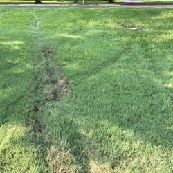 Montpelier Tree Service