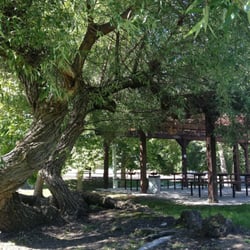 Santa Ynez Park