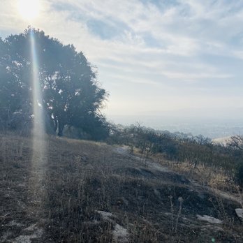 LIME RIDGE OPEN SPACE - CONCORD - Updated December 2025 - 306 Photos ...