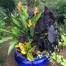 Bent Oak Nursery - Beautiful Pottery!