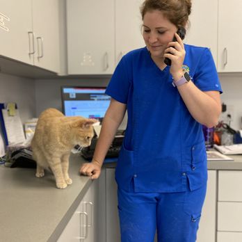 CareVet of Williamsburg - Veterinarians Near Me - Williamsburg, Virginia CareVet of Williamsburg - Veterinarians Near Me - Williamsburg, Virginia