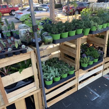 POMONA FARMERS MARKET - Updated January 2026 - 48 Photos & 16 Reviews