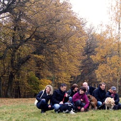 Inspiration Hund - Stadtsparziergang