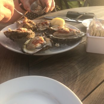 Cobalt - Raw Oysters - Seafood Near Me - Orange Beach, Alabama