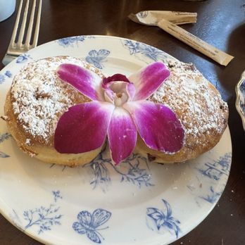 Little Hen - Apricot scone and cranberry orange scone. - Breakfast & Brunch Near Me - New York, New York Little Hen - Apricot scone and cranberry orange scone. - Breakfast & Brunch Near Me - New York, New York