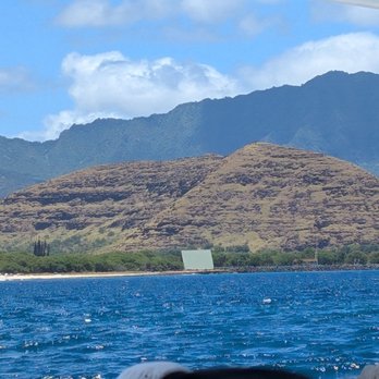 Dolphins and You - Boat Charters Near Me - Honolulu, Hawaii Dolphins and You - Boat Charters Near Me - Honolulu, Hawaii